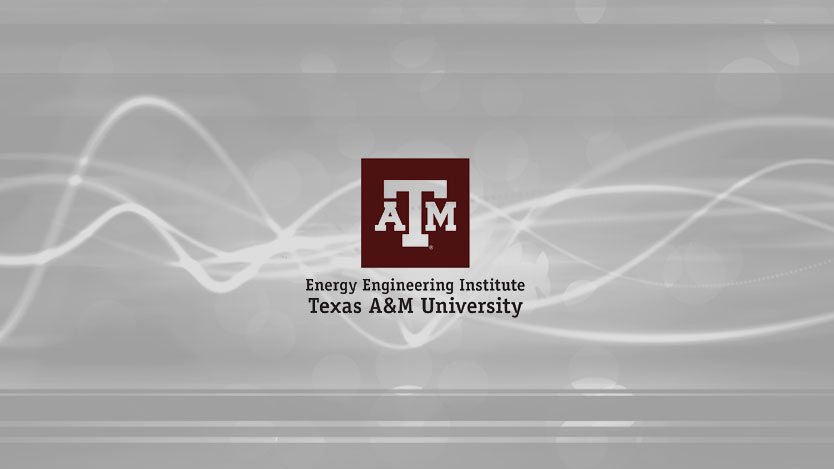 Energy Institute at Texas A&M University